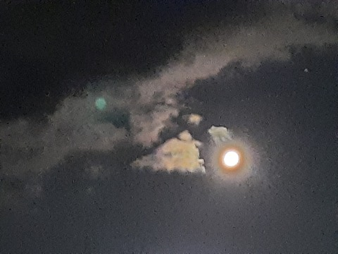 Immagine dell'intestazione OnlyFans paegandeathsong