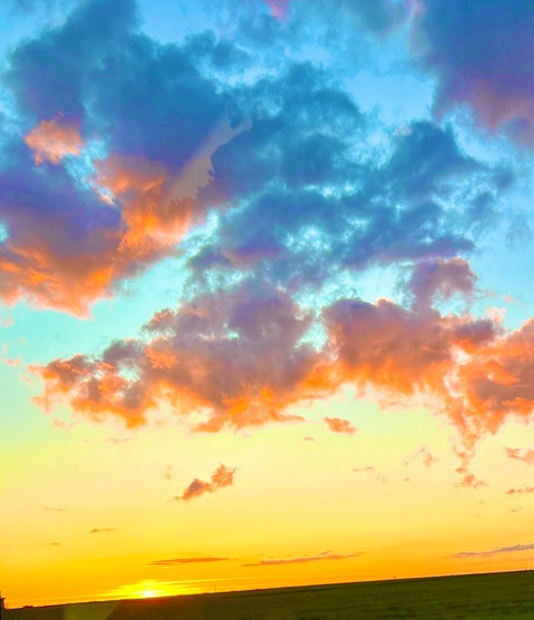 Foto de cabeçalho do OnlyFans paigesteelexxx