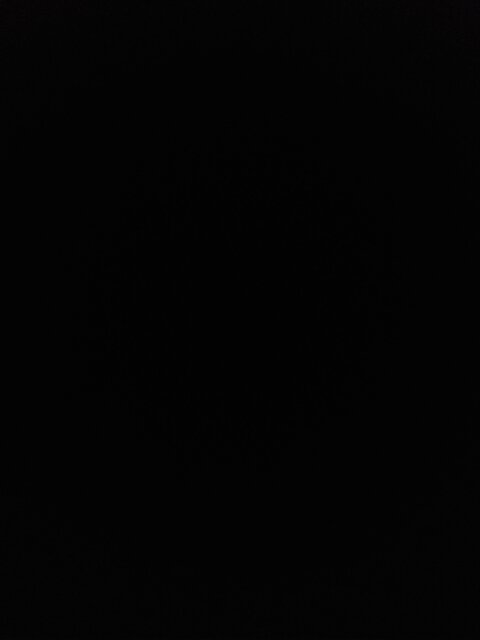 오직 팬들만 볼 수 있는 palomares의 헤더 사진