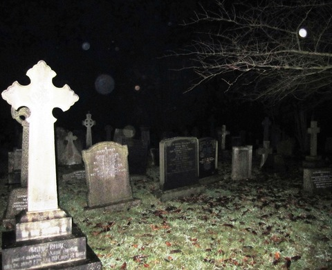 오직 팬들만 볼 수 있는 parasixticbabi의 헤더 사진