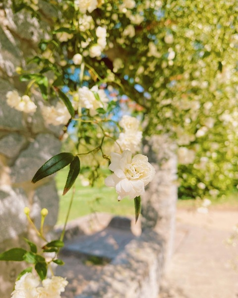 Image d'en-tête OnlyFans pearshapedblonde