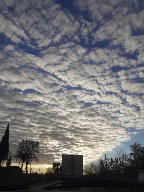 OnlyFans Header Bild pepiss1