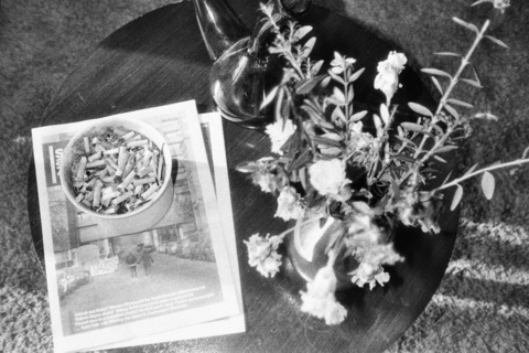 Gambar header OnlyFans phelineza