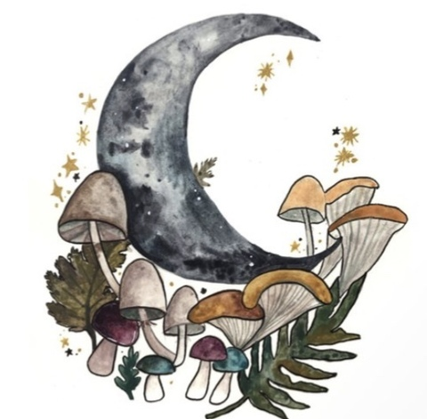 Obraz w nagłówku OnlyFans pineapplebratt79