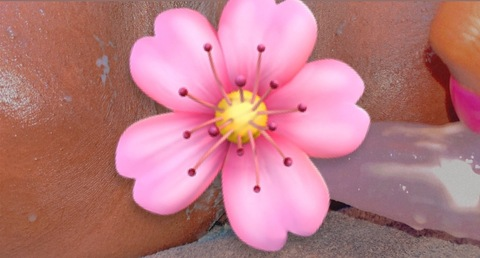 AlleenFans kopafbeelding pocketfullofsunshine26