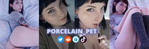OnlyFans Header Bild porcelain_pet