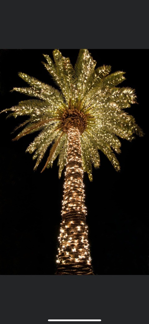 Gambar header OnlyFans princeassvip