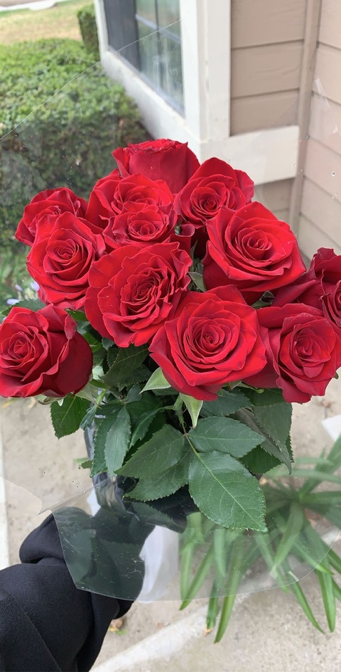 صورة رأس OnlyFans prxttylxver