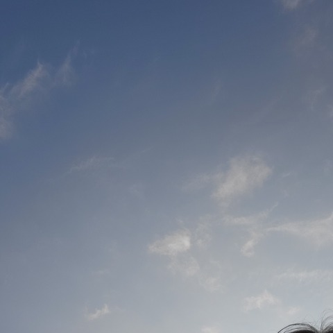 Картинка шапки OnlyFans purpleamelia