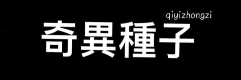 Gambar header OnlyFans qiyizhongzi