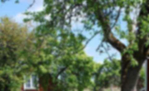 Картинка шапки OnlyFans qtee_foxx