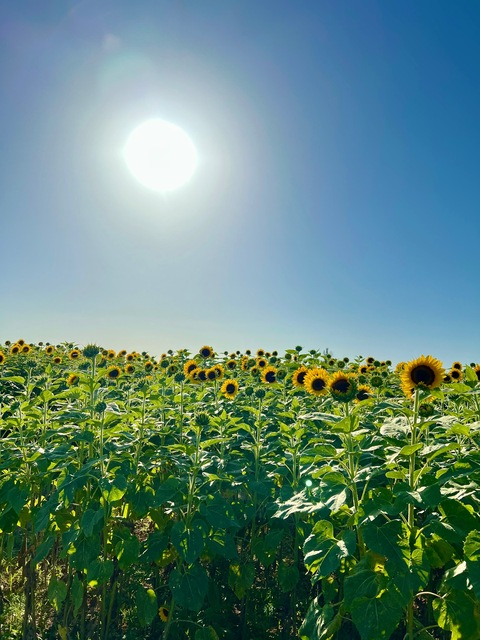 OnlyFans başlık resmi #kullanıcıadı#