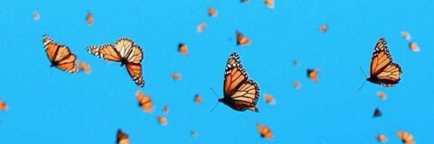 صورة رأس OnlyFans rayraywhit