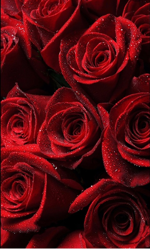 오직 팬들만 볼 수 있는 redbaby01의 헤더 사진