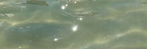 OnlyFans Header Bild reg_gomez