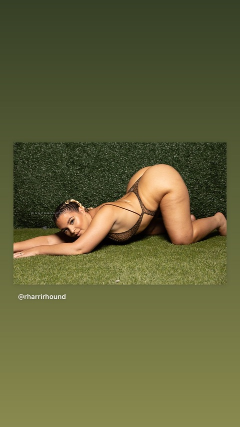 Image d'en-tête OnlyFans rharrirhound