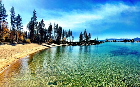 Снимка на заглавието на OnlyFans robknocks