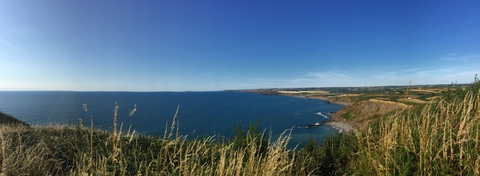 Gambar header OnlyFans rosie224