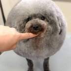 OnlyFansのプロフィール画像 rudi68