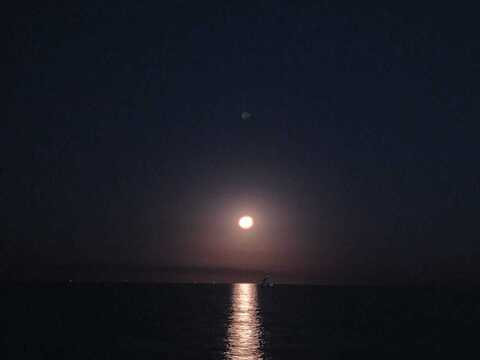 오직 팬들만 볼 수 있는 rupig의 헤더 사진