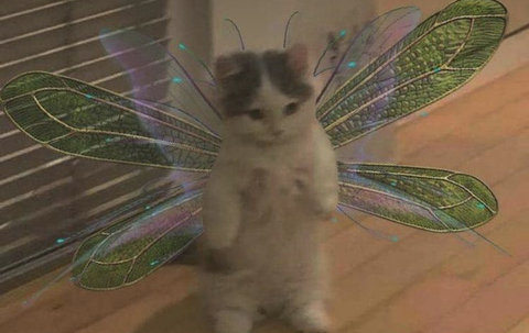 Immagine dell'intestazione OnlyFans saagaurora