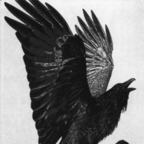 OnlyFans profile picture sadlovestory