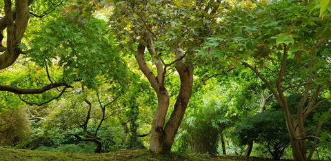 OnlyFans header picture sammiemarie