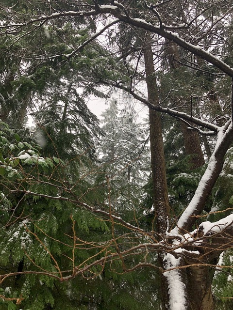 OnlyFans başlık resmi #kullanıcıadı#