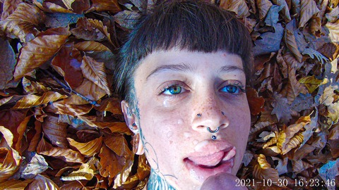 OnlyFans हेडर चित्र sarahs.mercier