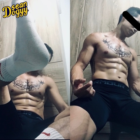 Immagine dell'intestazione OnlyFans seandogyy
