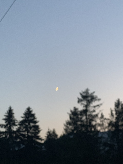 Gambar header OnlyFans segodnyai