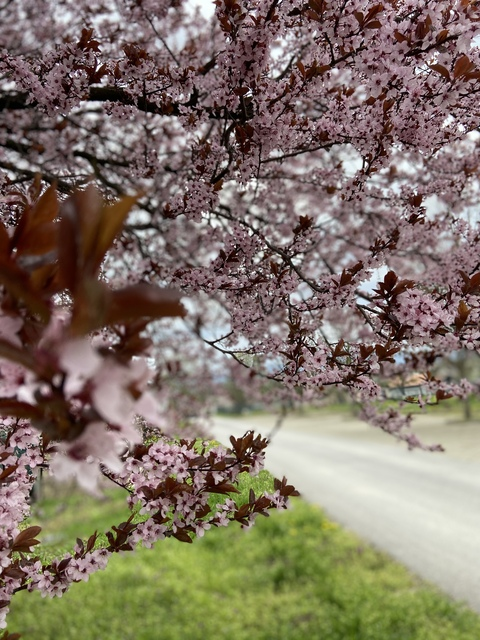 오직 팬들만 볼 수 있는 sexymum1의 헤더 사진