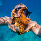 Foto del profilo OnlyFans di shangerdanger