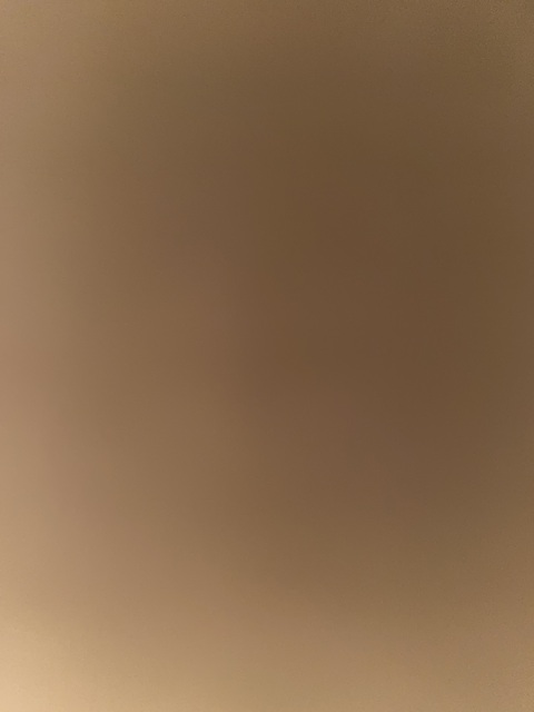 Immagine dell'intestazione OnlyFans shelbaby