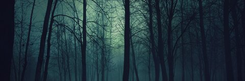 Image d'en-tête OnlyFans shows