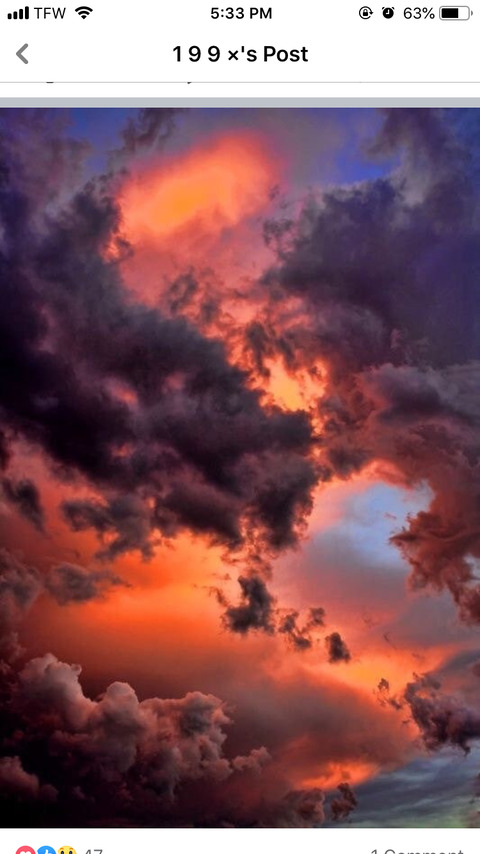 Снимка на заглавието на OnlyFans shyladream