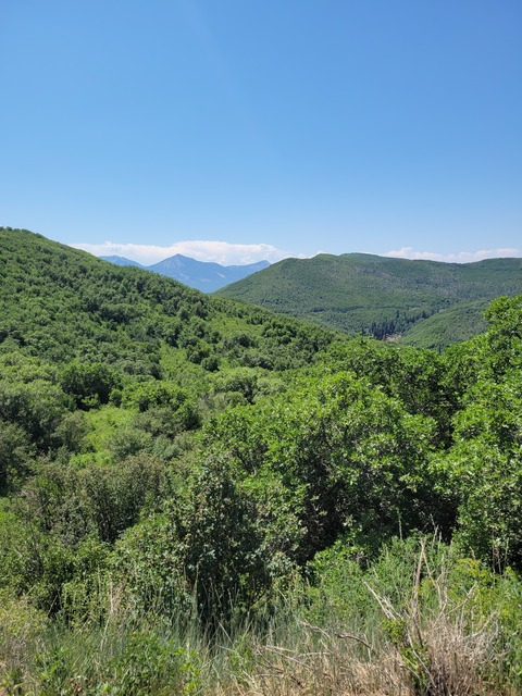 Снимка на заглавието на OnlyFans silentninja6