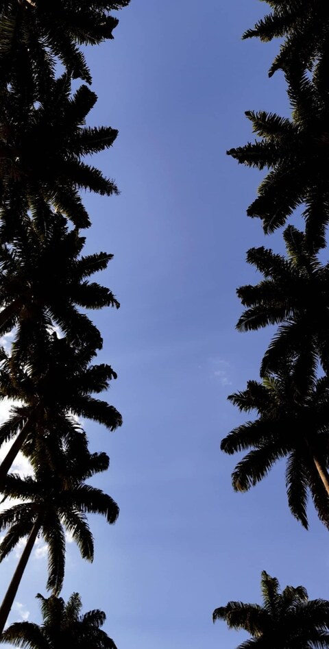 OnlyFansのヘッダー画像 skatist23cm