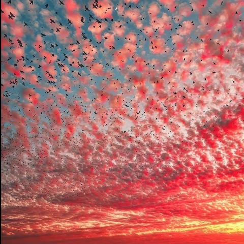 오직 팬들만 볼 수 있는 snixxxxx의 헤더 사진