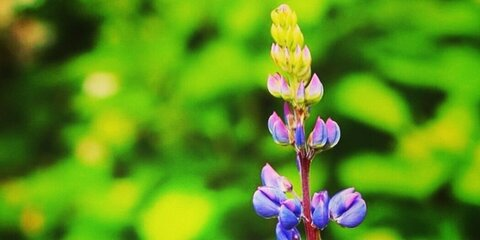 Foto de cabeçalho do OnlyFans someone