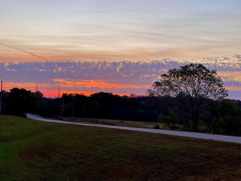 صورة رأس OnlyFans sommer_bummer