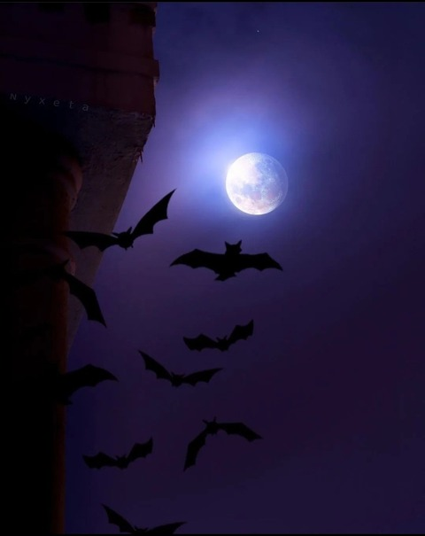 Immagine dell'intestazione OnlyFans spicy_emo