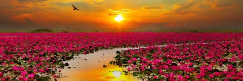 OnlyFans header picture sthomisthebomb