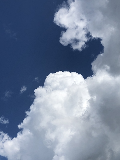 OnlyFans हेडर चित्र stormi