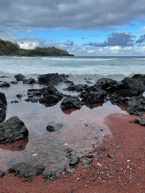 Gambar header OnlyFans suc.u.bus