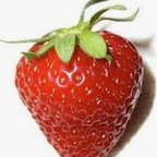 Foto de perfil de OnlyFans de sugarlicia