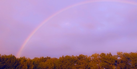 Картинка шапки OnlyFans sugarpie4you