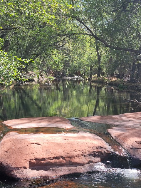 Foto de cabeçalho do OnlyFans swedishmustangsally