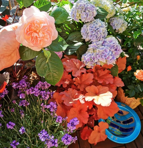 Снимка на заглавието на OnlyFans sweginger