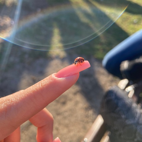 OnlyFans हेडर चित्र tabithababy